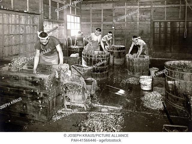 Silk industrie. The leftovers of the coccons are used for the production of low-grade silk. Pictured in the early 1920th. - /Japan