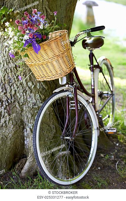 Old Fashioned Bicycle Leaning Against Tree