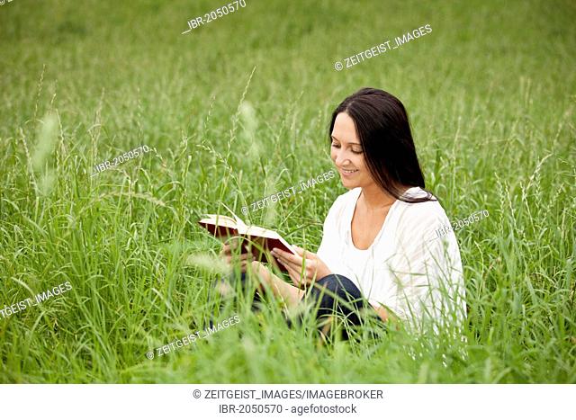 Young woman sitting in the long grass, reading a book