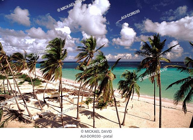Dominican Republic - Punta Cana - Bavaro Beach