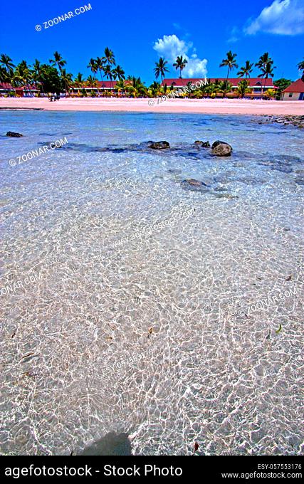 beautiful andilana beach seaweed in indian ocean madagascar mountain  sand isle sky and rock people