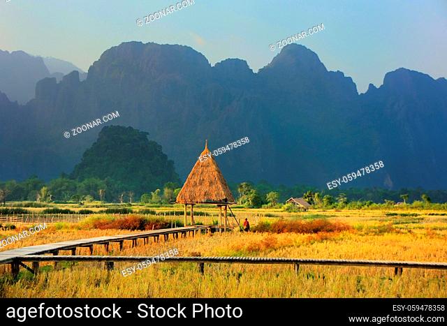 Harvested rice field surrounded by rock formations in Vang Vieng, Laos. Vang Vieng is a popular destination for adventure tourism in a limestone karst landscape