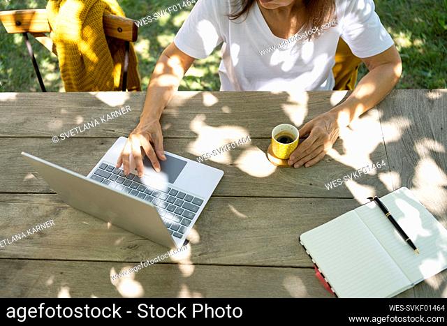 Female freelancer working on laptop at table