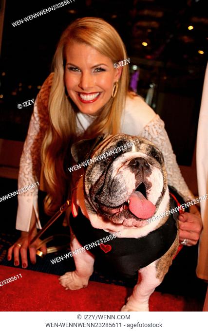 Beth Stern attends Beth Stern & Friends Bash For The Bulldogs of LI at NYU - Kimmel Center on December 14, 2015 in New York City