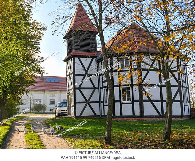 11 November 2019, Brandenburg, Altbarnim: View of the small half-timbered church. It is tiny, rustically built and now quite crooked - the half-timbered church...