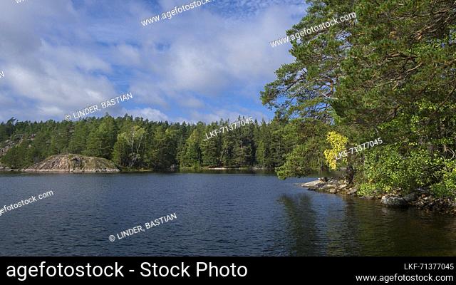 Shore with forest at Lake StensjÃ¶n in Tyresta National Park in Sweden