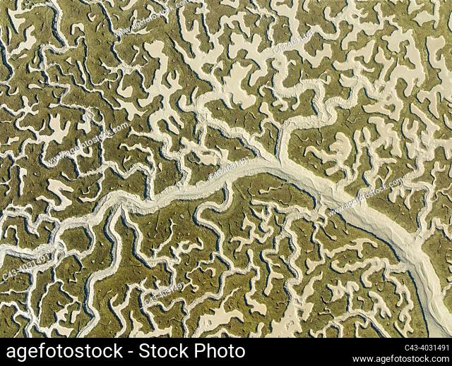 Network of dry channels and streams at low tide. In the marshland of the Bahía de Cádiz. Aerial view. Drone shot. Cádiz province, Andalusia, Spain