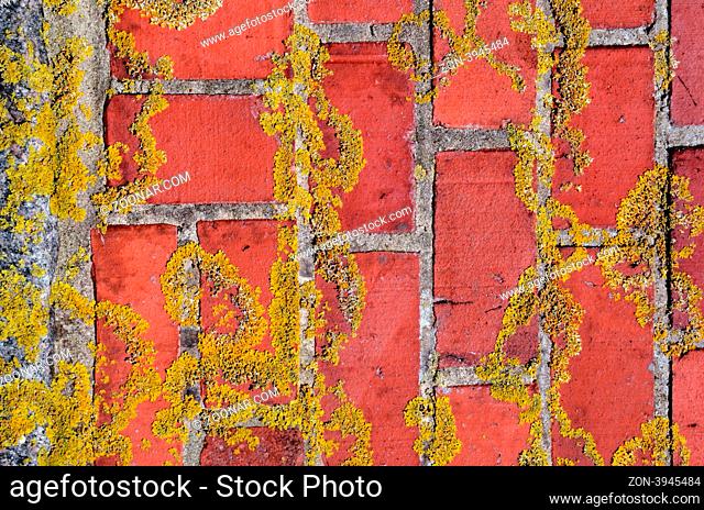 Mossy red brick wall fragment background. Abandoned architecture backdrop