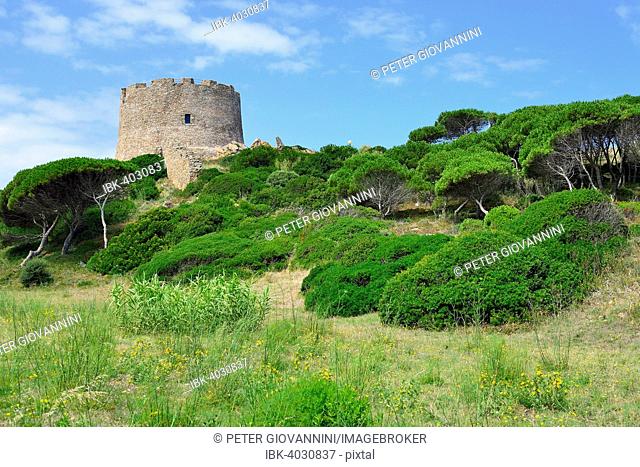 The watchtower Torre Spagnola, Santa Teresa Gallura, Province of Olbia-Nebbio, Sardinia, Italy