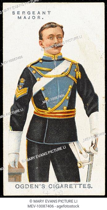 A Sergeant Major from the 21st Lancers (Empress of India's)