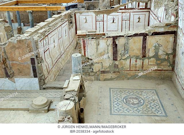 Mosaics, murals and frescoes in Terrace House 2 in Curetes Street, terraced houses, excavations, ruins of Ephesus, Efes, UNESCO World Heritage Site, Selcuk