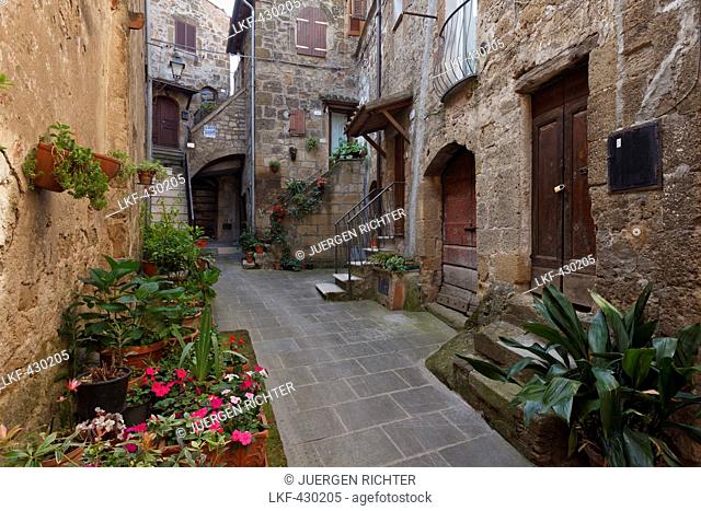 Alley with flowers in Pitigliano, hill town, province of Grosseto, Tuscany, Italy, Europe