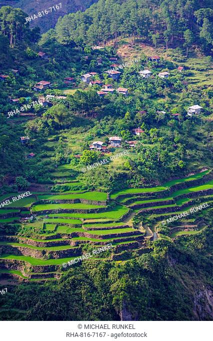 View from Kiltepan tower over the rice terraces, Sagada, Luzon, Philippines, Southeast Asia, Asia