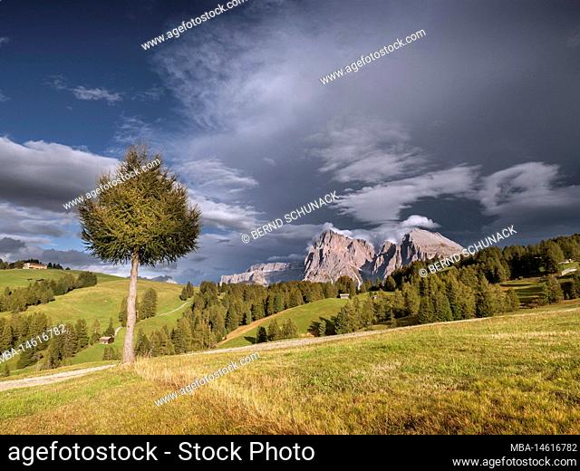 Alpe di Siusi with rising rain clouds and low sun with view towards the Sassolungo group