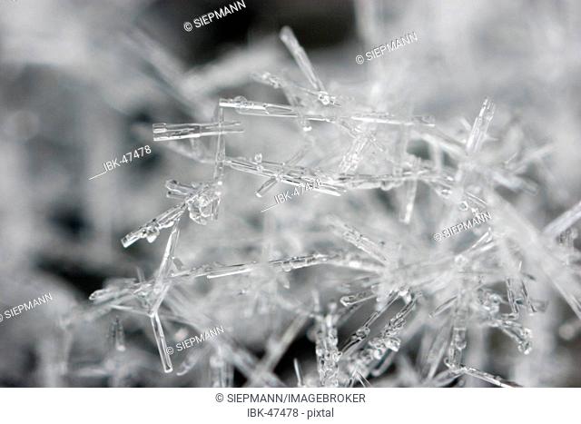 Snow ice crystals