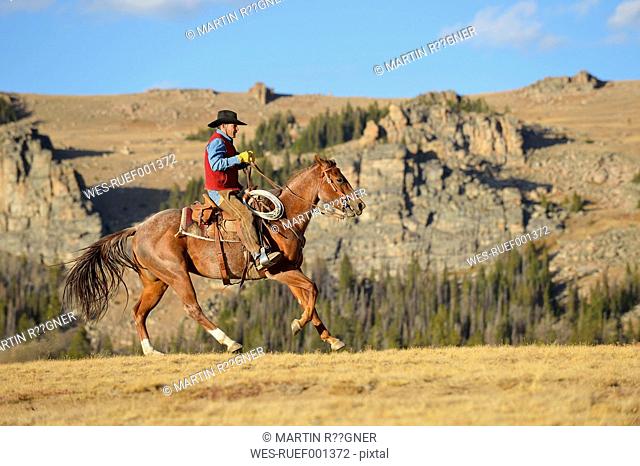 USA, Wyoming, riding cowboy
