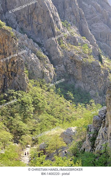 View into the Velika Paklenica canyon with hikers in Paklenica National Park, Croatia, Europe