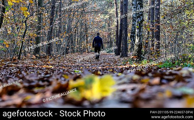 05 November 2020, Berlin: A young man goes for a walk in the birch grove of Adlershof. Photo: Kira Hofmann/dpa-Zentralbild/dpa