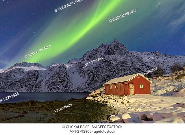 Northern Lights illuminate snowy peaks and the wooden cabin on a starry night at Budalen Svolvaer Lofoten Islands Norway Europe