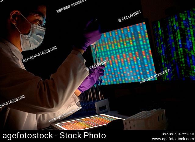 Male researcher in front of genome screens