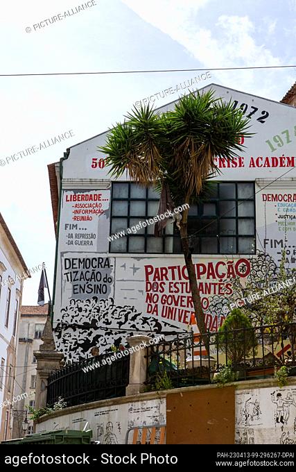 PRODUCTION - 31 March 2023, Portugal, Coimbra: A palm tree stands in front of a building with numerous writings near the university