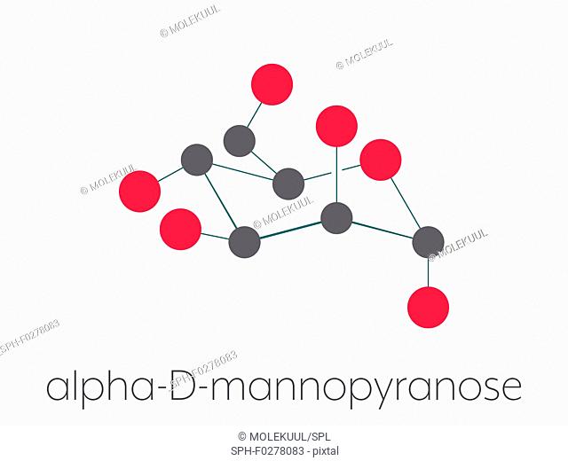 Mannose sugar molecule, illustration