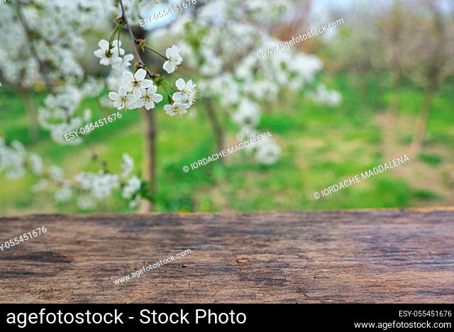 table, fruit tree, fruit flower