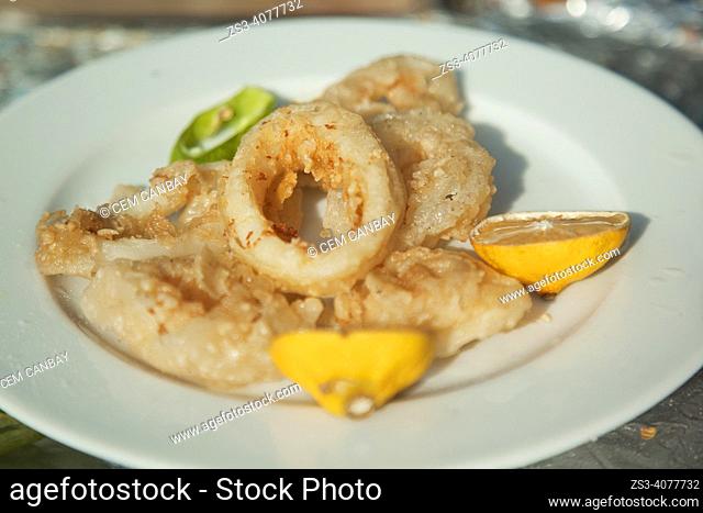 Close up shot of fried calamari in a plate served with lemon in a restaurant in Cengelkoy village, a neighbourhood on the Asian side of the Bosphorus in...
