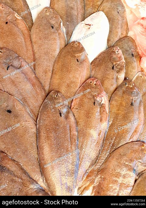 Sogliola fish on ice for sale, Fish local market stall with fresh seafood, view from top