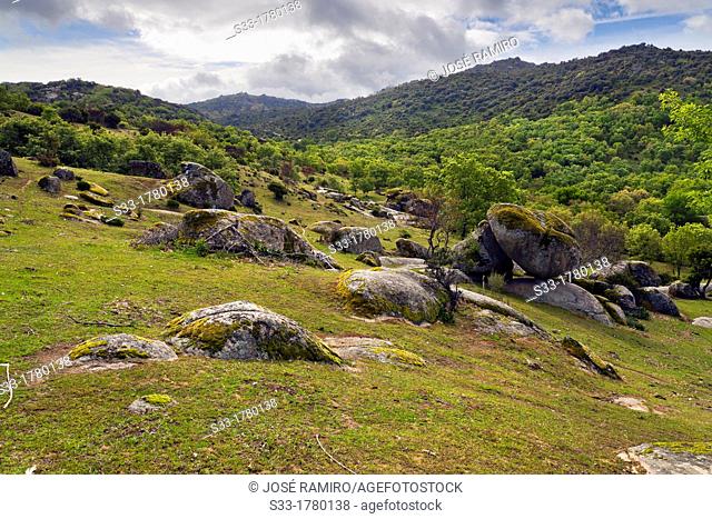 Sierra de la Higuera in Higuera de las Dueñas  Ávila  Castilla León  Spain