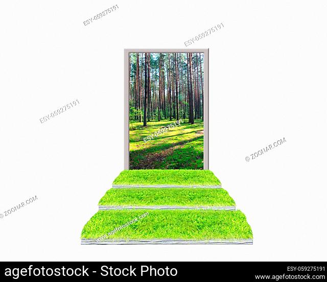 Stairs from green grass leading to forest isolated. Ecological concept. Grassy stairs with door to green forest. Way to clean wood on white background