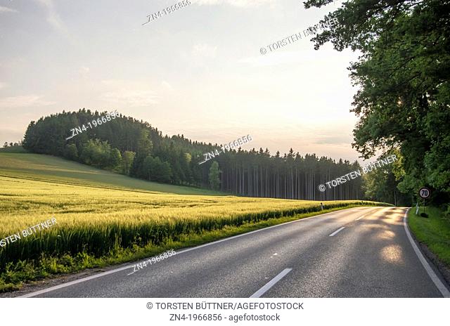 Country Road Passes Wheat Field at Sunset near Bad Schallerbach, Upper Austria, Austria