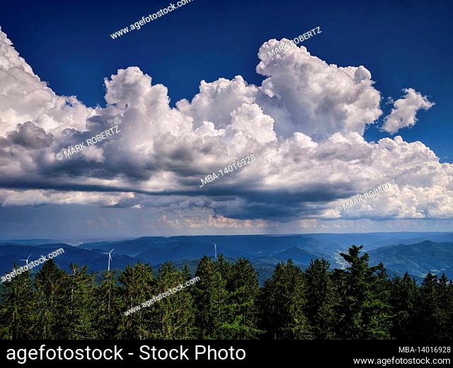 view from the brandenkopf tower over the central black forest