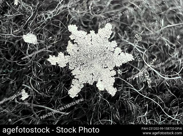02 December 2023, Lower Saxony, Hanover: A snowflake lies on a gray wool jacket (macro shot). Photo: Julian Stratenschulte/dpa