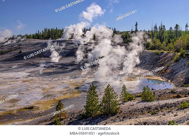 Norris Geyser Basin, Canyon Junction, Wyoming, United States
