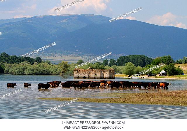 A view of the graveyard village of Zapalnya at the Zhrebchevo dam near the town of Tvardica, east of the Bulgarian capital Sofia, Monday, June, 8, 2015