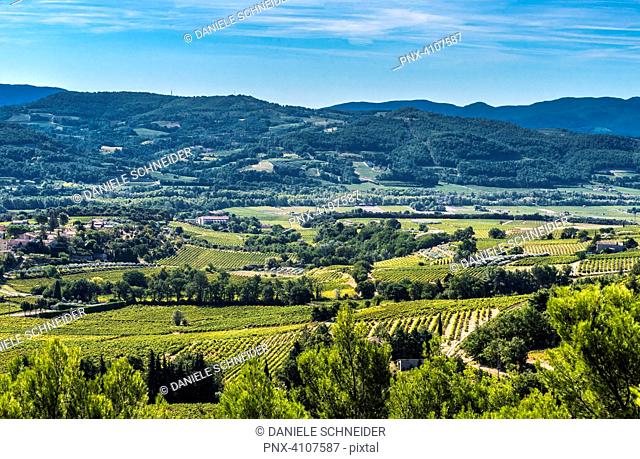 France, Drome, France, Drome, Vinsobres, vines at Vinsobres