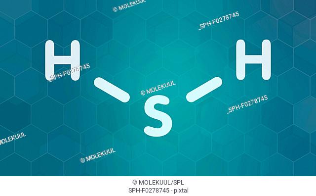 Hydrogen sulfide molecule, illustration
