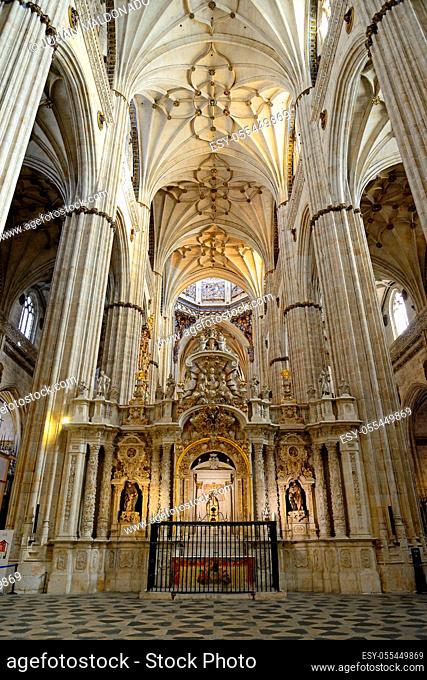 Salamanca, Spain - November 15, 2018: Interior of the Cathedral of Salamanca