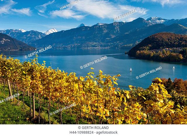 lake of Thun in the Bernese Oberland