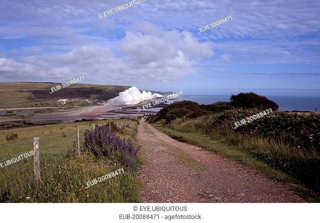 The Seven Sisters white chalk cliffs viewed from a path at Seaford Head