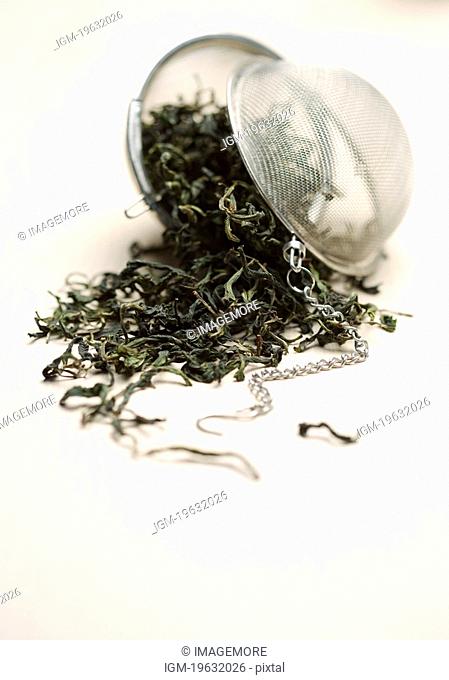 Dried tea leaves and tea strainer, close-up