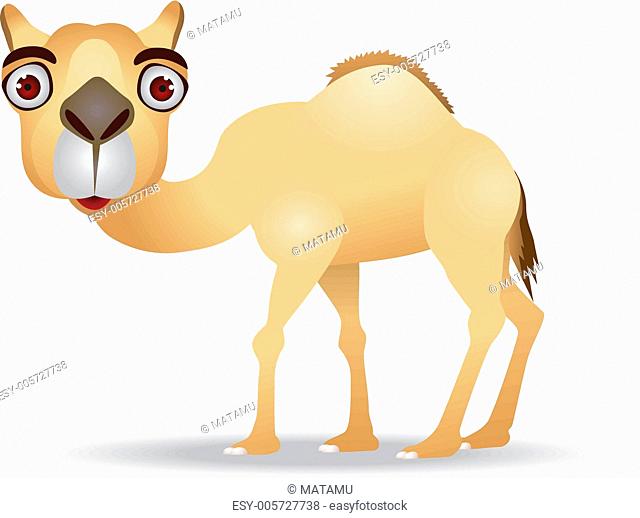 Vector camel cartoon