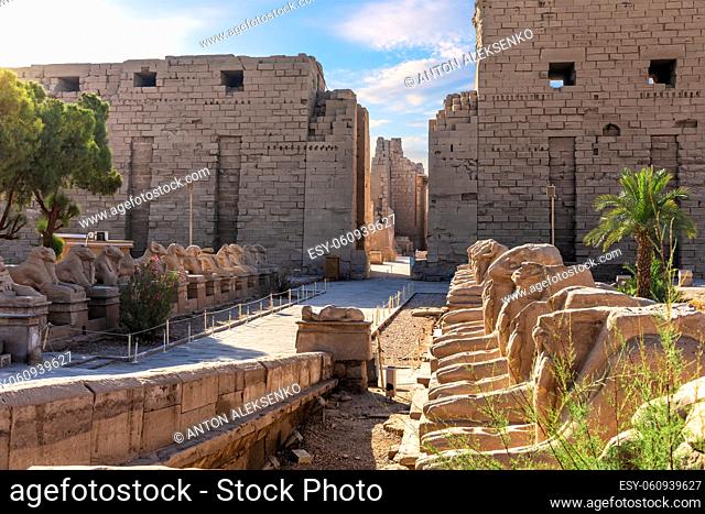 Famous Sphinx alley in front of the Karnak Temple entrance, Luxor, Egypt