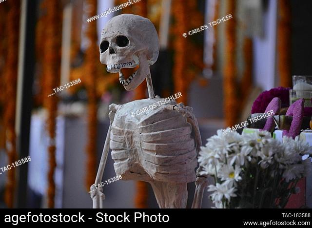 MEXICO CITY, MEXICO - OCTOBER 31: A cardboard skull put as part of the decoration of an offering, seen during the exhibition of altars 'A flower for each soul'...