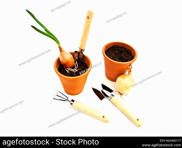 Gardening Tools And Pots With Black Soil And Green Onion Against White Background