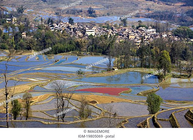China, Yunnan Province, Yuanyang, terraced paddy fields