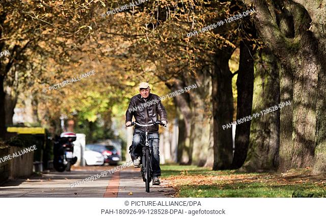26 September 2018, Lower Saxony, Hanover: A man rides a bicycle through the street Kastanienallee in Hannover. Photo: Julian Stratenschulte/dpa