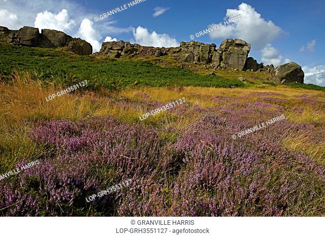 England, West Yorkshire, Ilkey Moor. The Cow and Calf, a large rock formation consisting of an outcrop and boulder, also known as Hangingstone Rocks