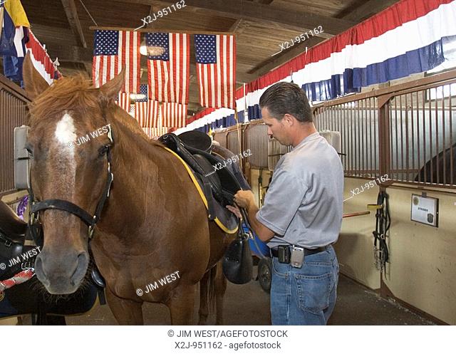 Detroit, Michigan - Greg Stopczynski, an officer of the Detroit Mounted Police, saddles his horce, Musky, at the Michigan State Fair